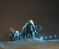 В Ханты-Мансийск с Трансаэро