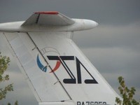 Ван Дейк и Микеланджело улетели из Питера в Иркутск