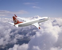 В самолетах Turkish Airlines можно смотреть ТВ в прямом эфире