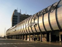 Крысы хозяйничают в аэропорту Каира