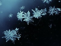 Самолет, прилетевший из Франкфурта, не смог сесть в Борисполе из-за снегопада
