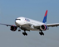 В Delta Air подавали сэндвичи с иголками